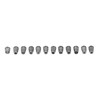 12PCS ER11 Collet High Accuracy Spindle Spring Chuck Set for