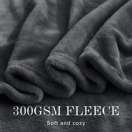 NICETOWN Soft Blanket King Size Fleece Warm Fuzzy Throw Blankets for Bed/Sofa Lightweight 300GSM Microplush Ultra Warm Blanket, 90" x 108", Grey