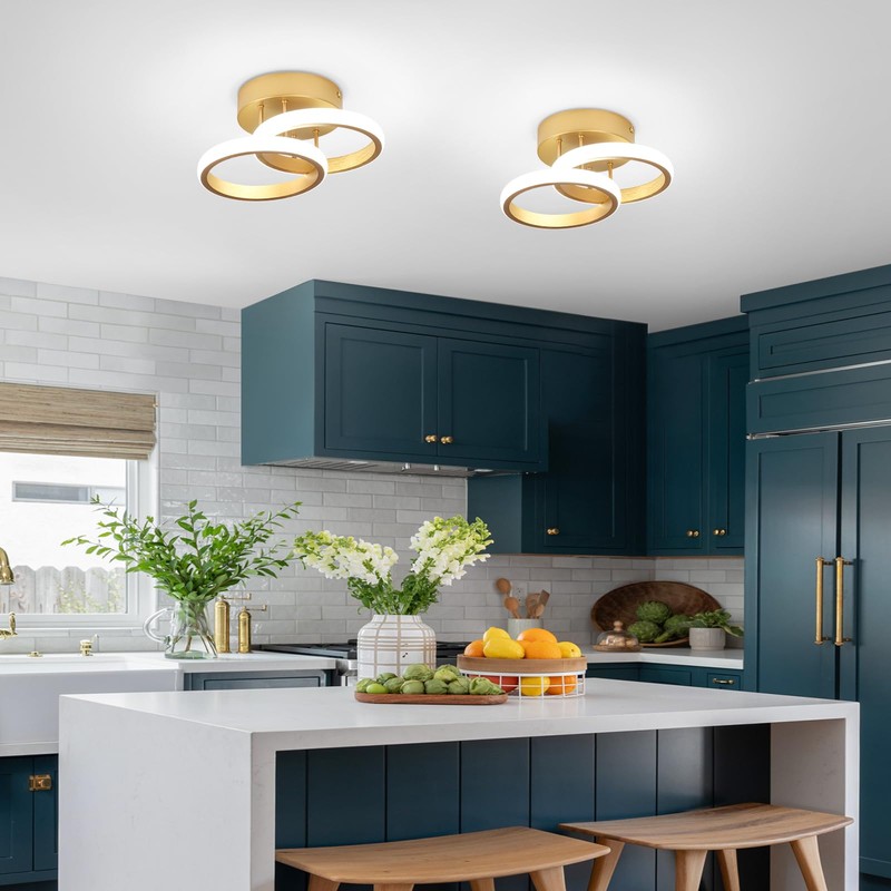 EIDISUNY LED Ceiling Light Modern Ceiling Lamp Silver Round Simple