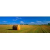 Walls 360 Peel & Stick Wall Mural: Hay Bales South
