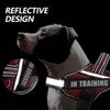 Dog Vest Harness and Patches Set, Animire in Training Service