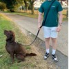 Double Ended Dog Training Lead Police Style Adjustable Leash 5ft