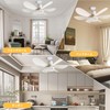 Ceiling Fan Light, E26 Base, Three Color Temperatures, Stepless Dimming,