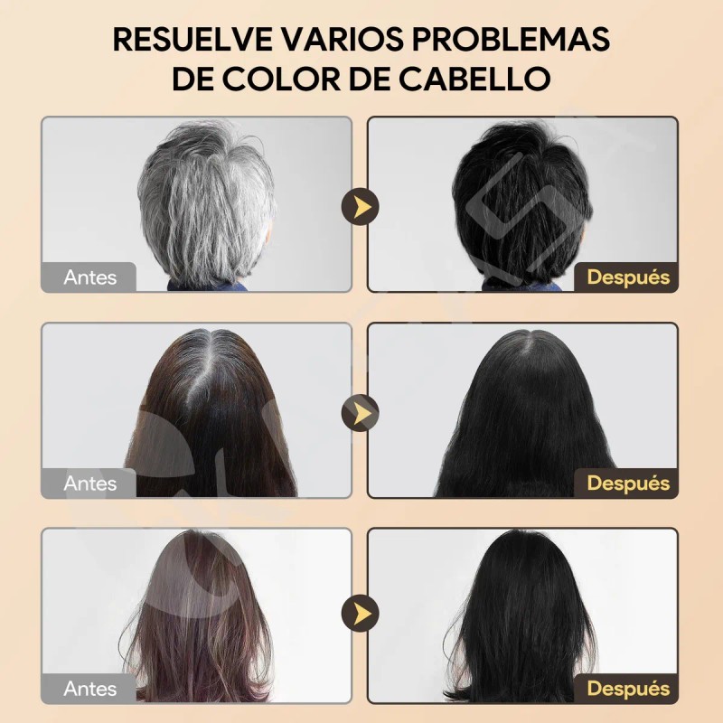 Kaisasa Shampoo Con Tinte Cubre Canas Con Aceite De Argn