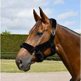 Rhinegold Fur Trim Headcollar - Extra Full - Black