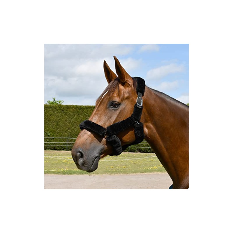 Rhinegold Fur Trim Headcollar - Extra Full - Black