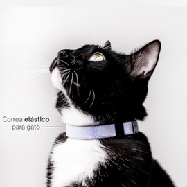 Proyecto Salvavidas Collar Elástico para Gato