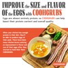 COOHGRUBS Dried Black Soldier Fly Larvae for Chickens, High-Calcium 85X