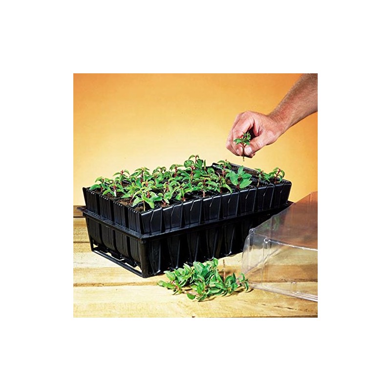 Deep Rootrainers Kit - Seed and Cutting Propagation Kit (32