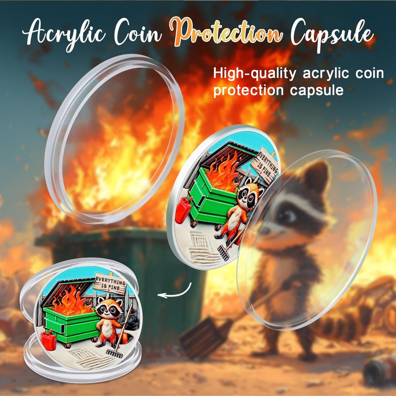 CHURYUML 5Pcs Dumpster Fire Zen Garden Coin Set - Inspirational