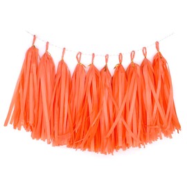 Rainbow Tissue Paper Tassel Garland Pre-Assembled 10 Colors Paper Tassel Colorful Paper Tassel Garland Table Decor for Christmas Birthday Wedding Bridal Shower Party (Orange)
