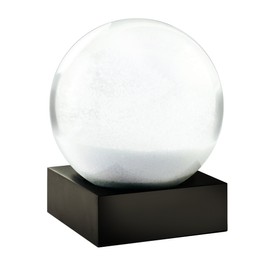 CoolSnowGlobes Snowball All Snow Cool Snow Globe