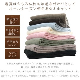 Rivere Half Size 100% Egyptian Cotton Summer Towel Blanket Moisture Wicking Heavyweight (Brown)