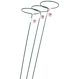Bosmere E553 48-Inch Plant Stem Support with 6-Inch Hoop, 3-Pack