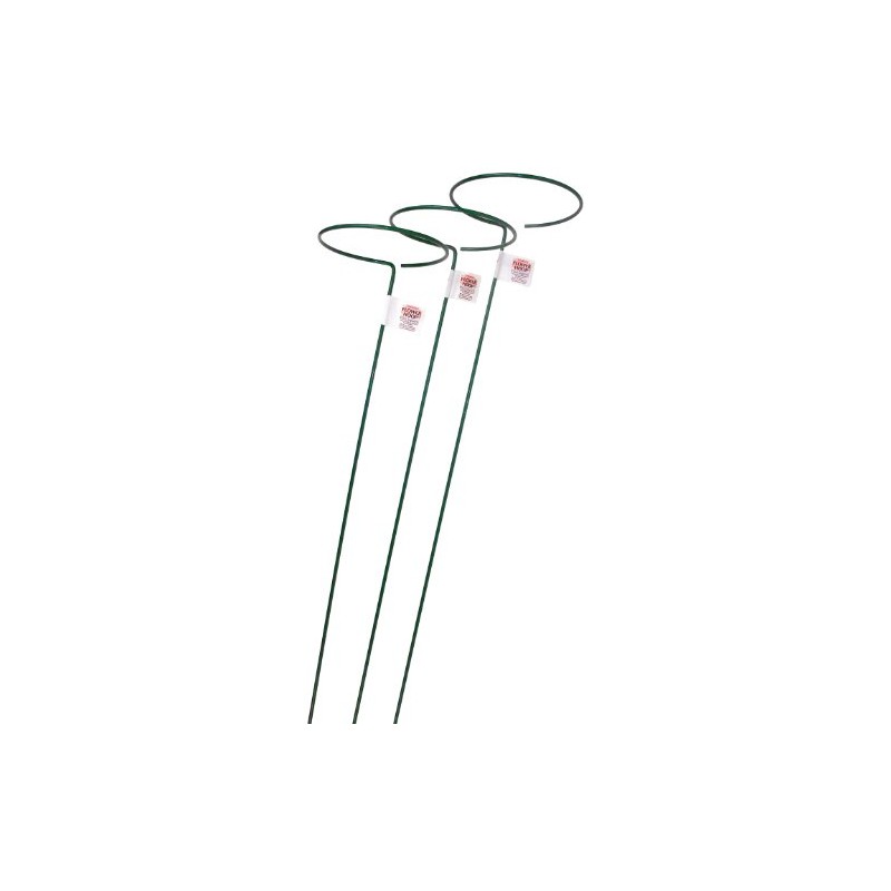 Bosmere E553 48-Inch Plant Stem Support with 6-Inch Hoop, 3-Pack