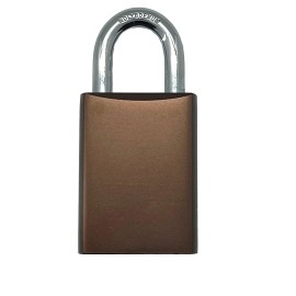 ABLOY C45A-BRN-1-T Padlock, Brown Keyed Different Protec2 with 2 Keys