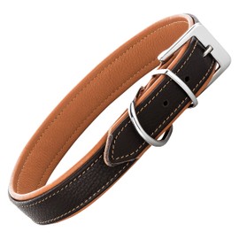 Schnüffelfreunde Fun Line Leather Dog Collar for Large, Medium and Small Dogs, Leather Collar for Dogs, Padded and Robust (L - 36-45 cm, Brown/Beige)