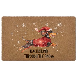 huester Dachshund Christmas Welcome Door Mat, Winter Christmas Dachshund Through the Snow Decorative Home Indoor Outdoor Porch Front Door Entrance Outside Welcome Doormat, Weiner Dog Gifts, 17x30 Inch