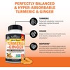 Turmeric Curcumin and Ginger - 95% Standardized Curcuminoids with BioPerine