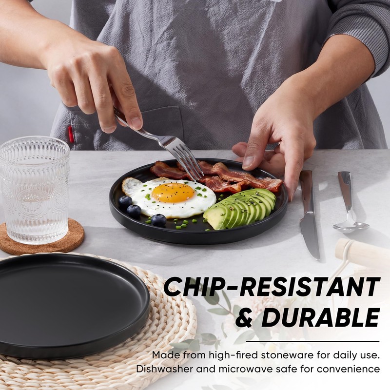 E-far 7.9 Inch Ceramic Dinner Plates, 6-Piece Stoneware Salad Plates