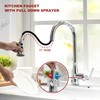 Lavatrum Kitchen Faucet with Pull Down Sprayer, 17 inch Polished