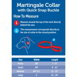 PetSafe Martingale Dog Collar with Quick Snap Buckle