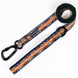 Wilderdog Ultralight Leash Series for Dogs 6 ft Long and Only 3.75 oz with swiveling, Locking Carabiner Attachment and Lightly Padded Handle with D-Ring - Rainbow