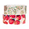 Seido Shinzi Katoh Masking Tape 2 Rolls B1 ks-dt-20063