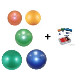 Theraquatics Physio Balance YOGA Fitness Gym G BALL FITDECK Drill Exercise card 45-55-65-75cm - 55cm Ball w/Fitdeck