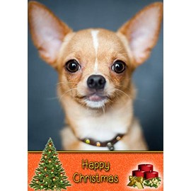Chihuahua Dog Christmas Card 'Happy Christmas' - Special Animal Xmas Card for Him Her from Pets Kids