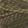 Patons YARN KROY FX MOSSY