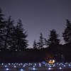 Homemory LED Tea Lights with Built-in Timer, Pack of 12