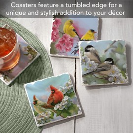 Thirstystone Spring Quartet Birds Multi-Image Absorbent Stone Tumbled Tile Coaster 4 Pack with Protective Cork Backing Manufactured in The USA