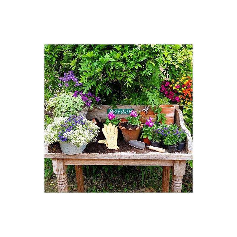 DeWit Forged Hand Trowel