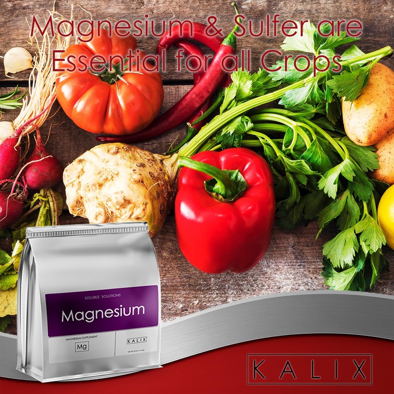KALIX Magnesium Sulfate Fertilizer | 100% Water-Soluble Epsom Salt |