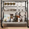 GAOMON Bar Cart, Bar Carts for The Home, 3 Tier