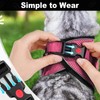 MingXpets Cat Harness and Leash for Walking, Retractable Cat Harnesses