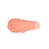 WYCON cosmetics Partner in Time Long Lasting Compact Blush, Compact