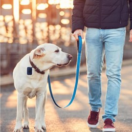 DWYYWSM Dog Poop Bags Dispenser - Mesh Fabric Attachment Dog Waste Bag Holder with Zipper, Hangable Pet Supplies, Large Capacity Dog Bag Dispenser