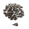 Chocolate Pops Bulk Candy 50+ Count Lollipops Suckers Variety Brown