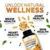 Turmeric Curcumin Supplement 2600mg - 95% Curcuminoids with Organic Turmeric