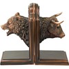Treasure of Nature Bronze Plated Resin Sculptures Bear & Bull
