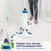 BISSELL EUCALYPTUS MINT DEMINERALIZED STEAM MOP WATER, 32 ounces, 1392,