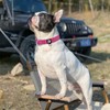 azuza Reflective Dog Collar, Soft Chloroprene Rubber Filled Pet Collar