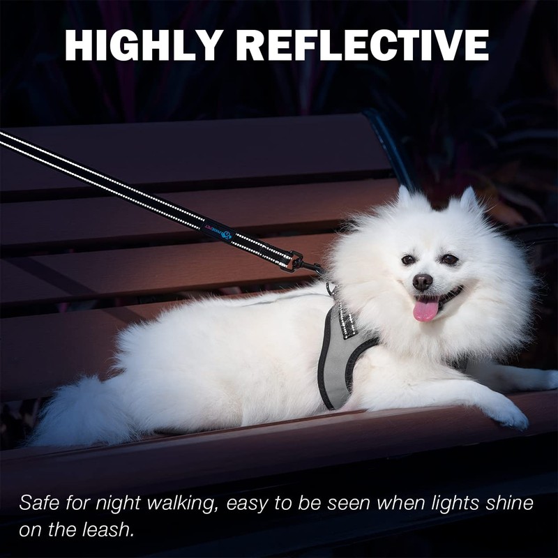 PHOEPET 5 Feet Heavy Duty Dog Leash - Reflective -