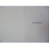 Hide, Birthday, Greetings Card, 124x176mm