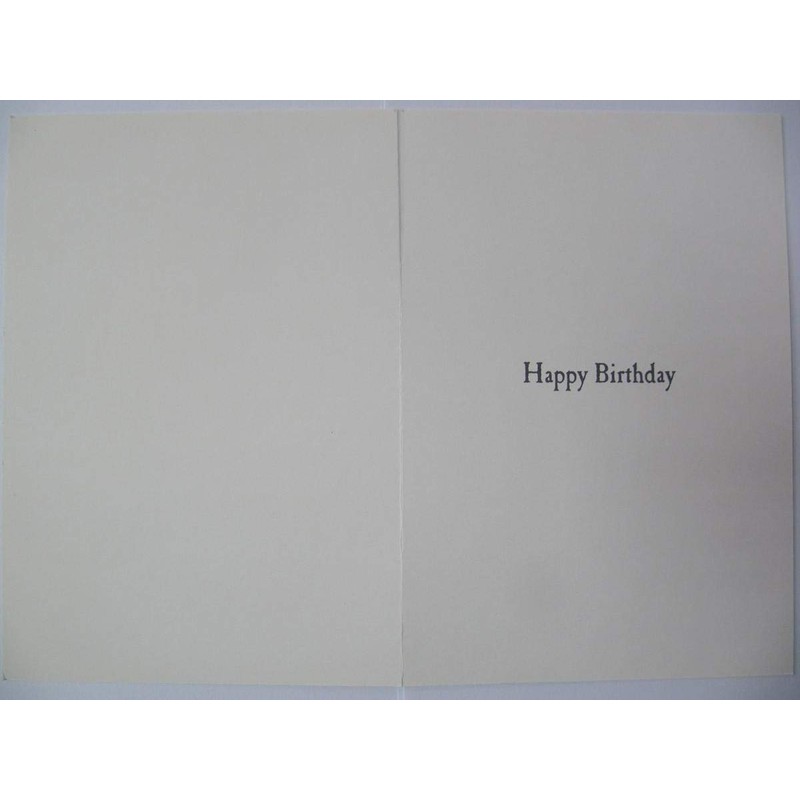 Hide, Birthday, Greetings Card, 124x176mm