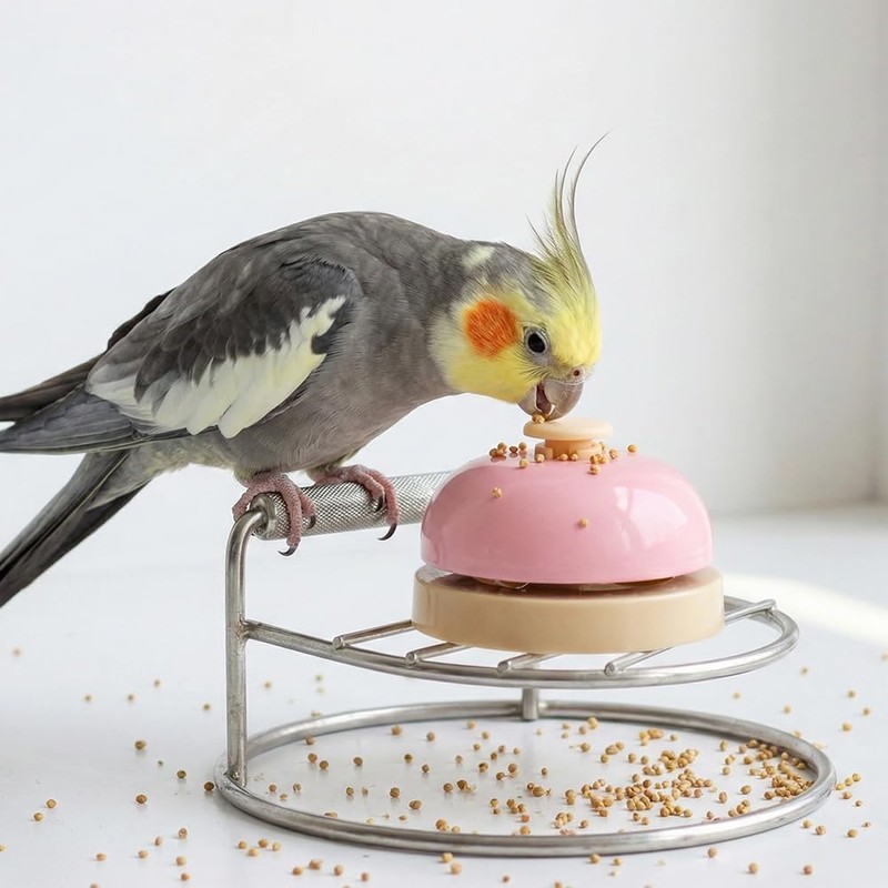 DQITJ 4 Pcs Bird Bell Toy Stainless Steel Training Bell