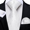 DiBanGu White Paisley Necktie and Handkerchief Set For Men Tie