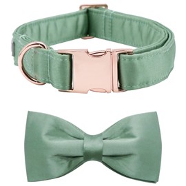 Lionet Paws Bowtie Dog Collar - Comfortable Silk Green Dog Collar with Detachable Bow Tie for Small Dogs, Neck 10-16 Inches